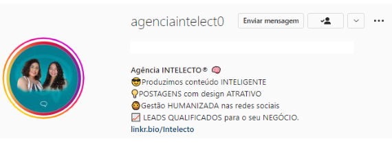 bio do instagram