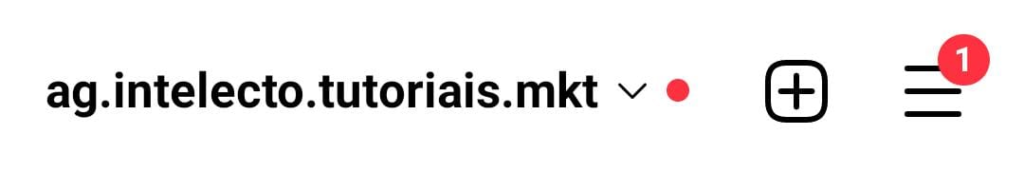 Instagram Para Empresas